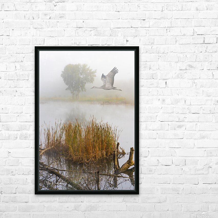 Crane on the Wing in Fog HD Sublimation Metal print with Decorating Float Frame (BOX)