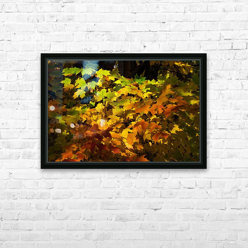 Fall Colors HD Sublimation Metal print with Decorating Float Frame (BOX)