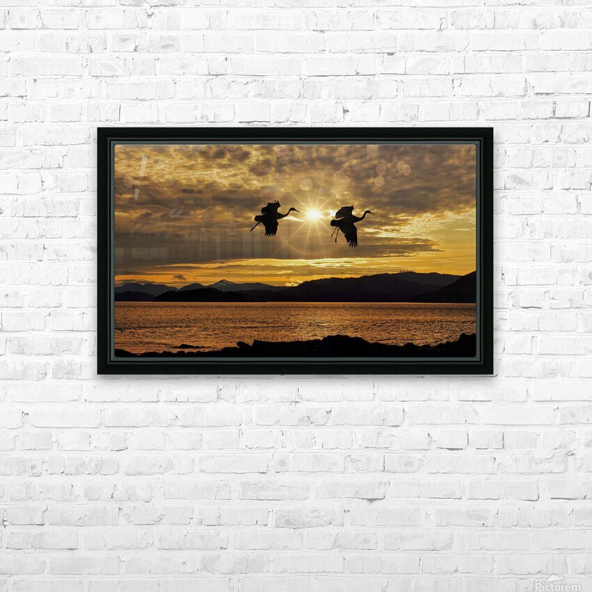 Sandhill cranes over Alaska HD Sublimation Metal print with Decorating Float Frame (BOX)
