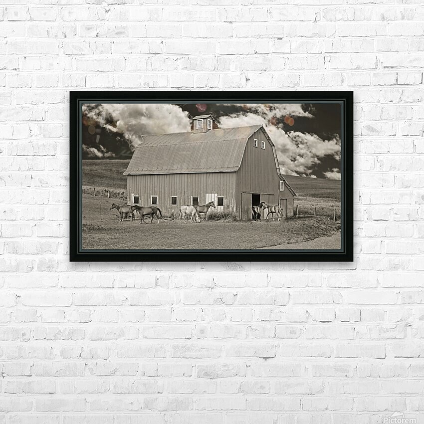 Washington horse barn HD Sublimation Metal print with Decorating Float Frame (BOX)