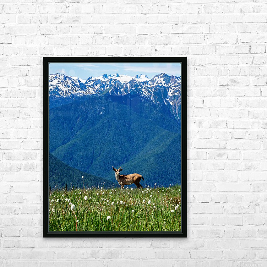 Olympic mountain range HD Sublimation Metal print with Decorating Float Frame (BOX)