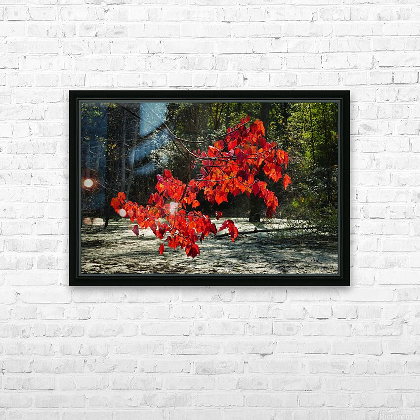   Fall Color in Lutsen HD Sublimation Metal print with Decorating Float Frame (BOX)