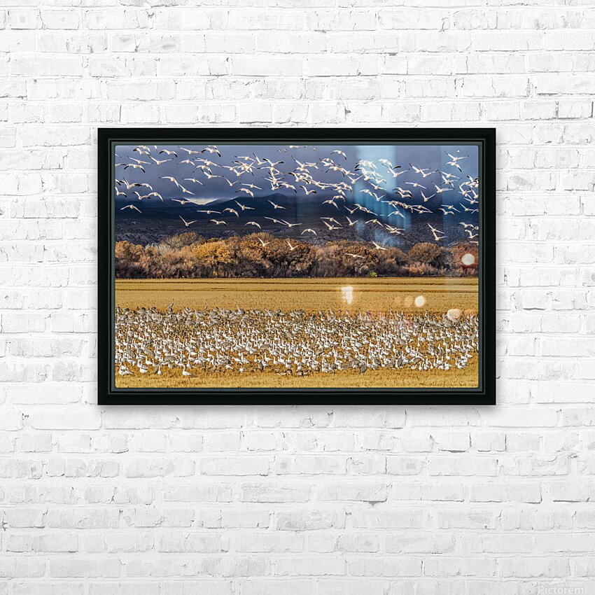 Migration of the birds HD Sublimation Metal print with Decorating Float Frame (BOX)
