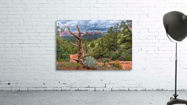 Sedona Overlook by Jim Radford