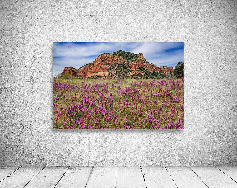 Clover Fields in Sedona by Jim Radford