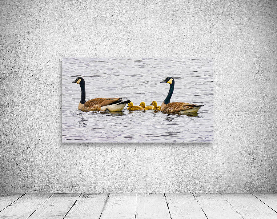 Swimming lessons Wall Preview