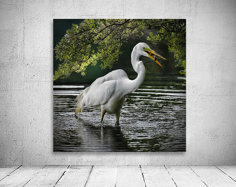 Just lunch  Wall Preview