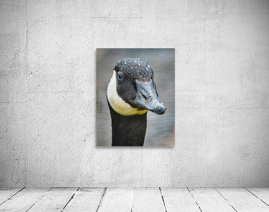 No sweat  Wall Preview