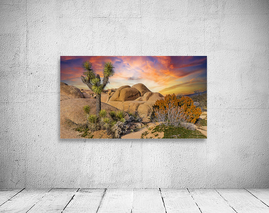 Joshua tree landscape Wall Preview