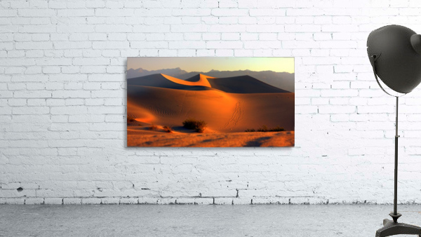 Mesquite Dunes at Dusk by Jim Radford