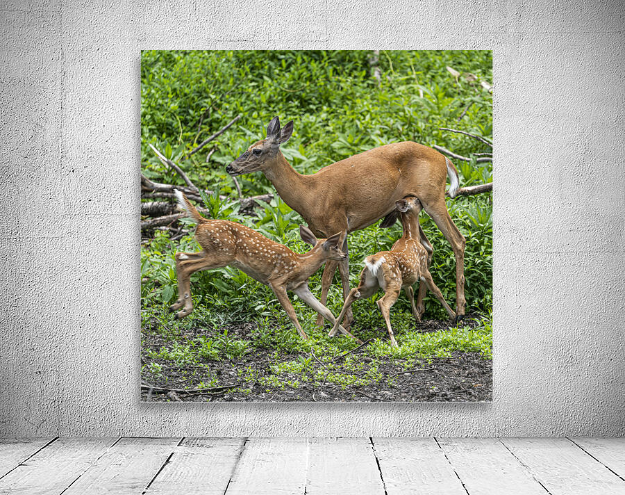 Time for lunch by Jim Radford