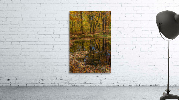 Forest Reflections Wall Preview