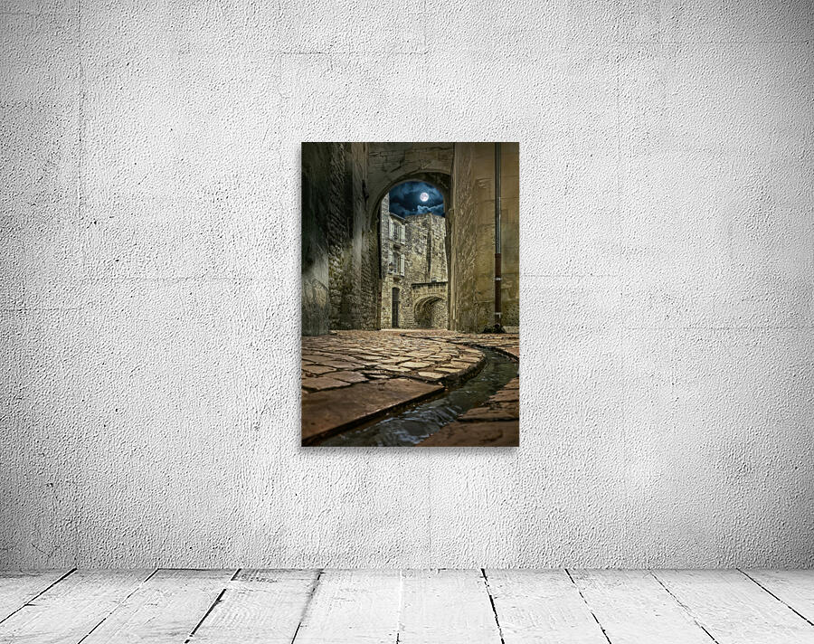 Moonlight in Rennes Wall Preview