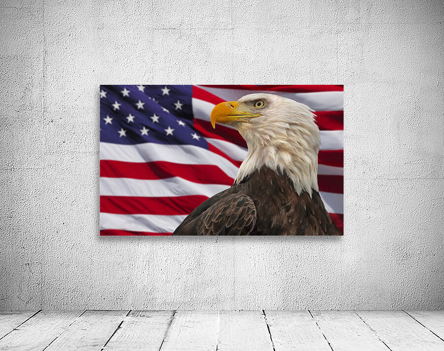 Proud Bird Wall Preview