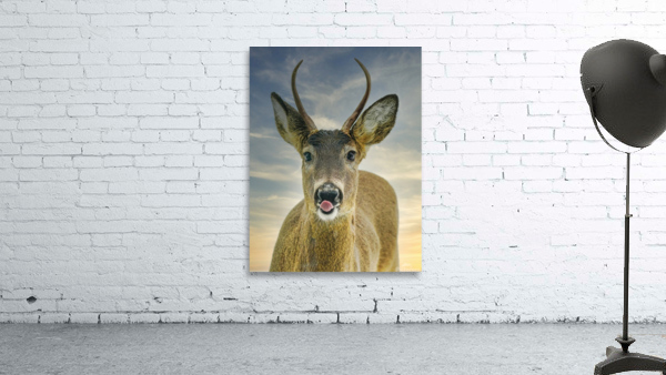 Feed me   Wall Preview