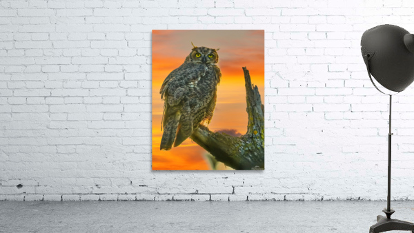 Owl standing watch Wall Preview
