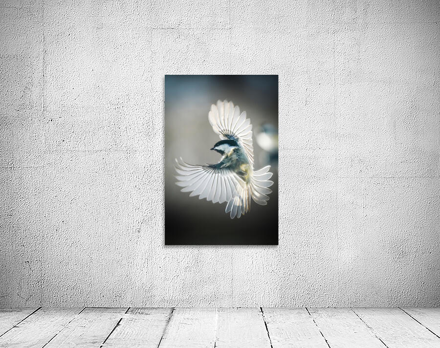 Small bird - big wings Wall Preview