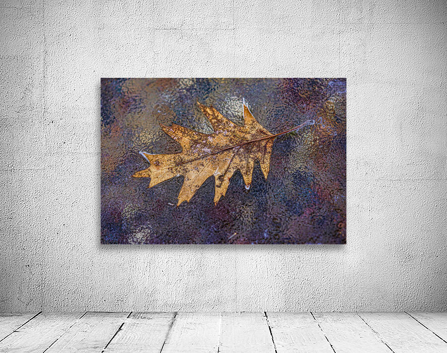 Oakleaf on ice Wall Preview