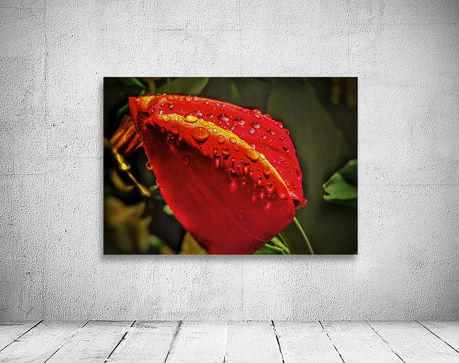 1382 Kuchenhof Wall Preview