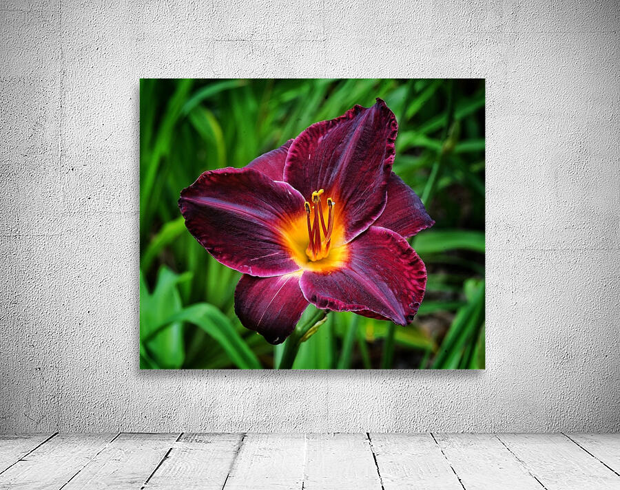 Purple Lilly Wall Preview