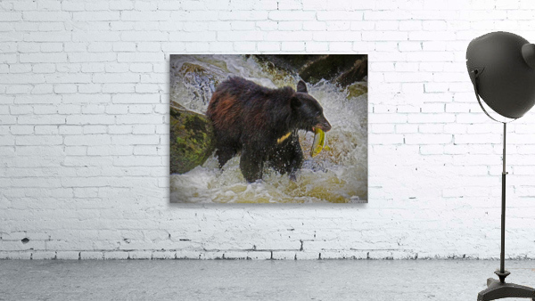 Salmon fishing Wall Preview