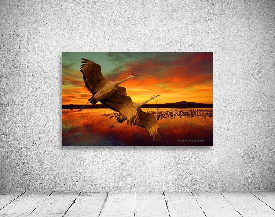 Sandhill Cranes at the Bosque Wall Preview