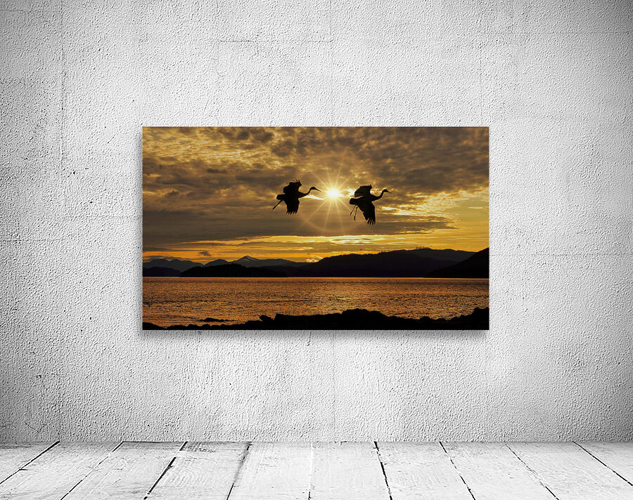 Sandhill cranes over Alaska Wall Preview
