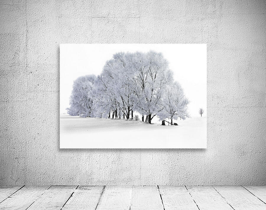 Hoarfrost in Minnesota Wall Preview