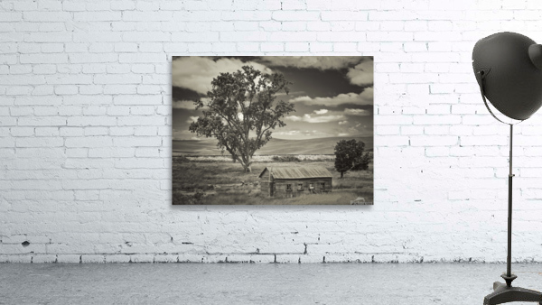 Washington farm plot Wall Preview