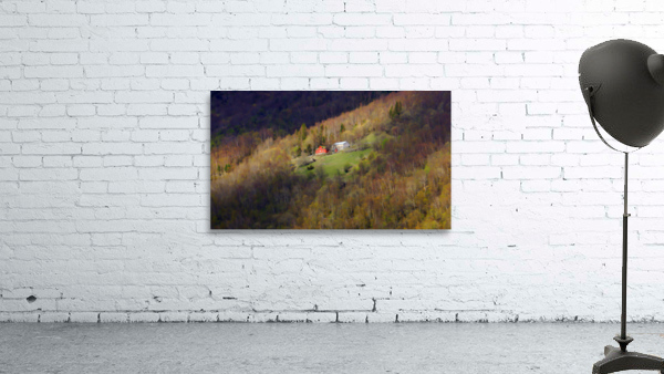 Farm on fjord Norway Wall Preview