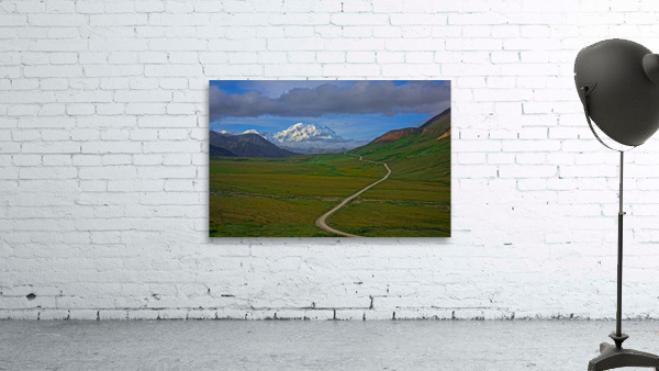Denali park road Wall Preview