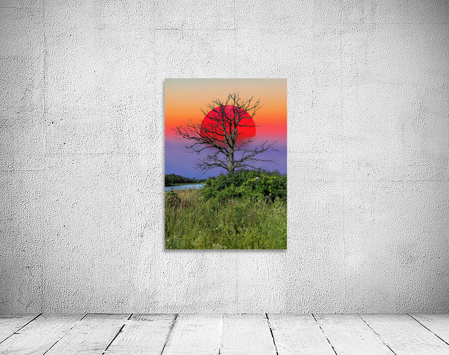 Sun is up  Wall Preview