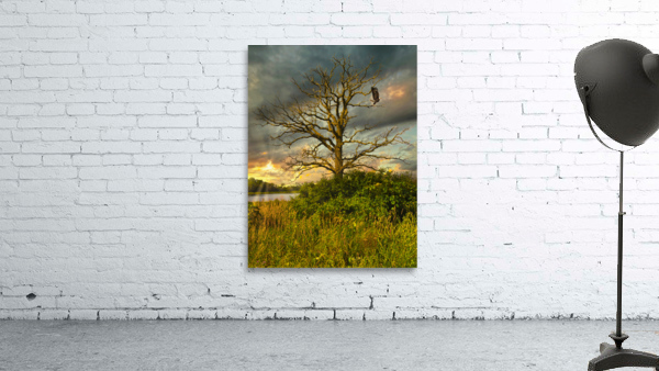 The eagle has landed Wall Preview