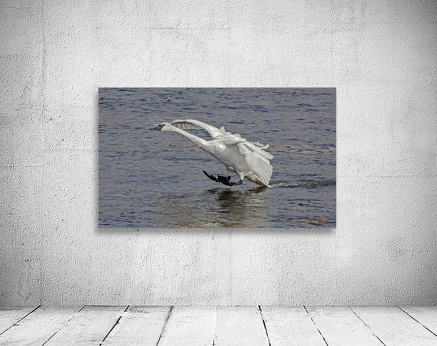 Three point landing  Wall Preview