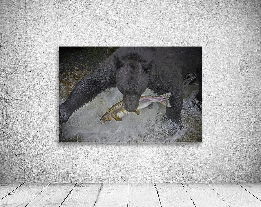 Black bear dinner Wall Preview