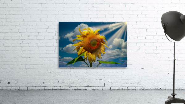 Sunny flowers   Wall Preview