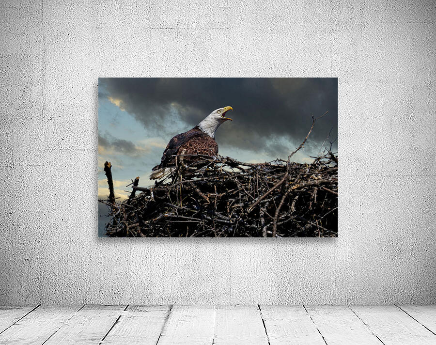 Eagle on nest Wall Preview