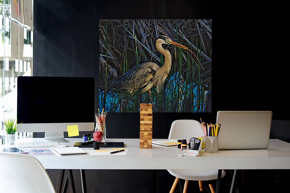 Heron in the morning Reproduction