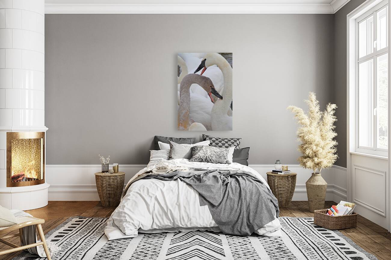 Pecking Trumpets Reproduction