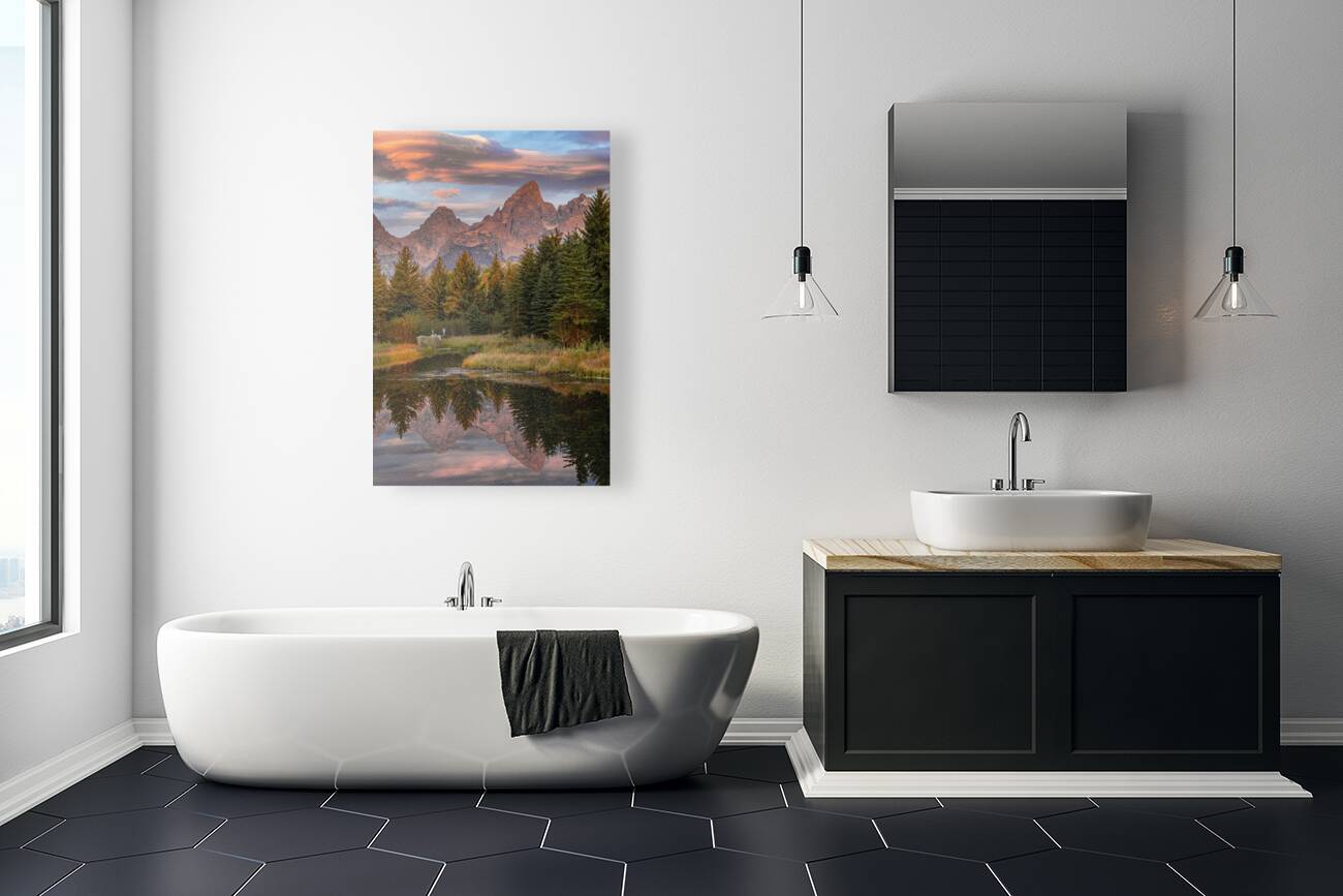 Moose in the Morning Reproduction