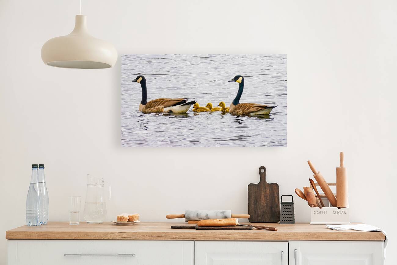 Swimming lessons Reproduction