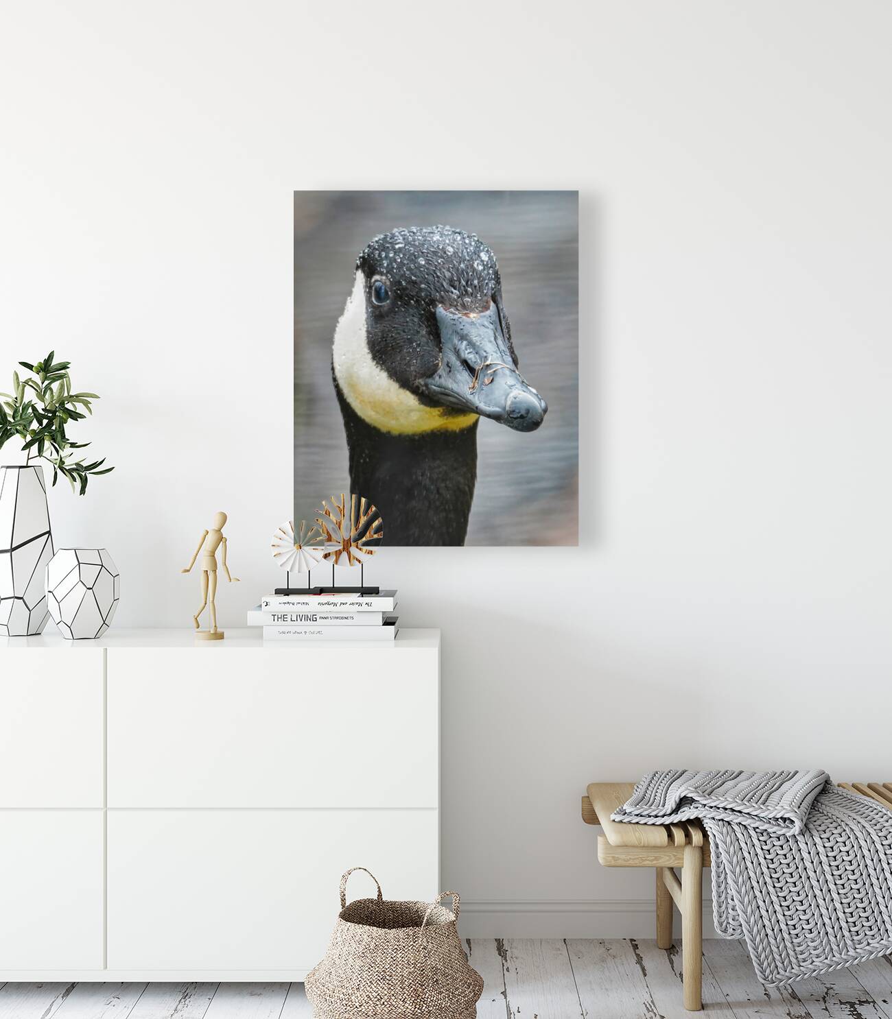 No sweat  Reproduction