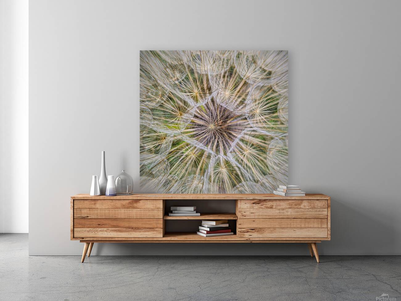 Dandelion Pappus Reproduction