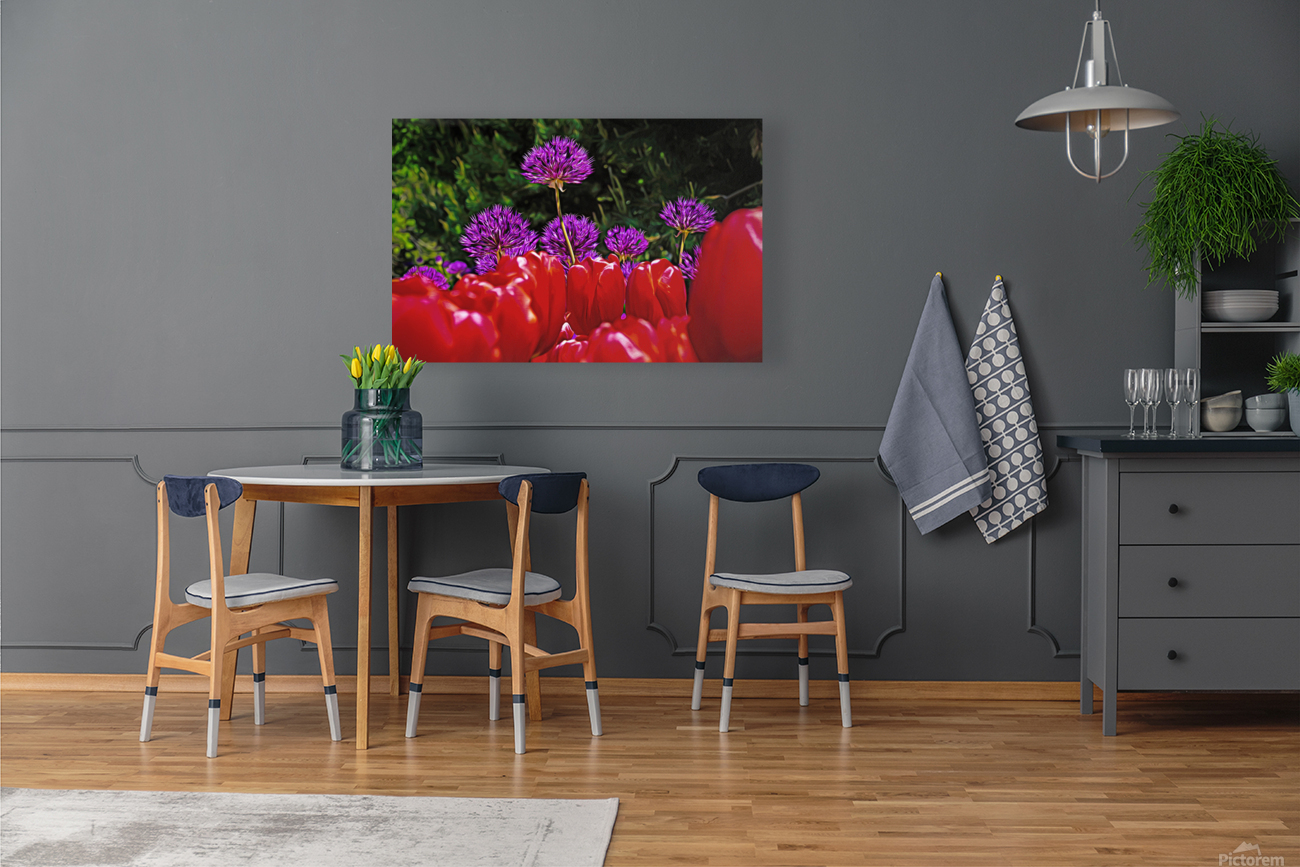 Flowers of color Reproduction