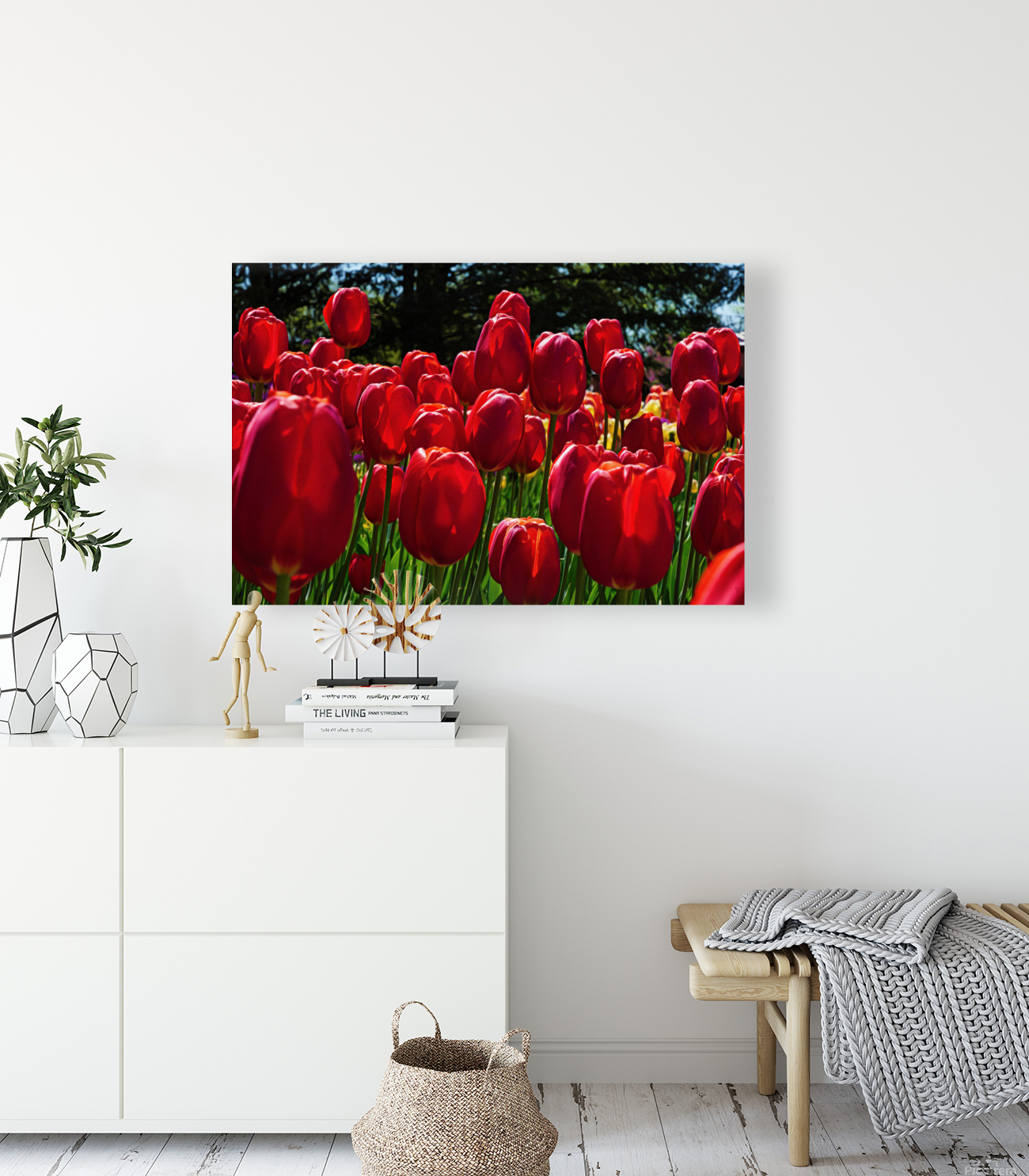 Red tulip parade   Reproduction