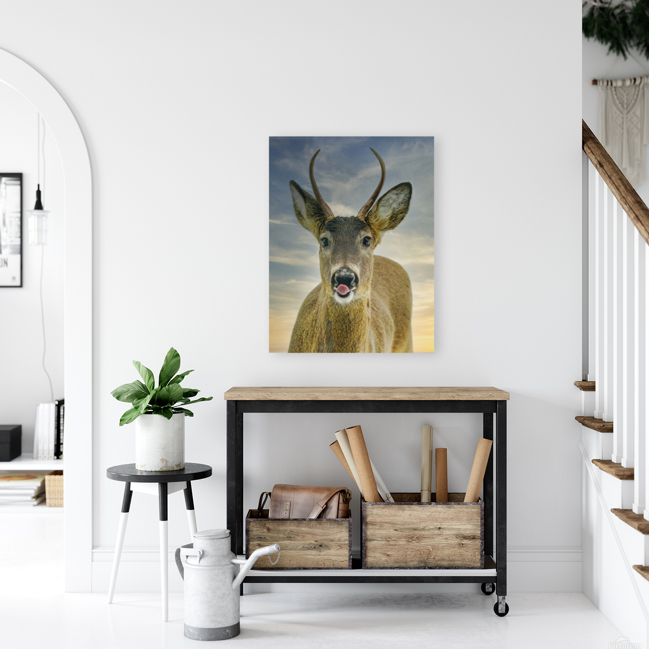 Feed me   Reproduction