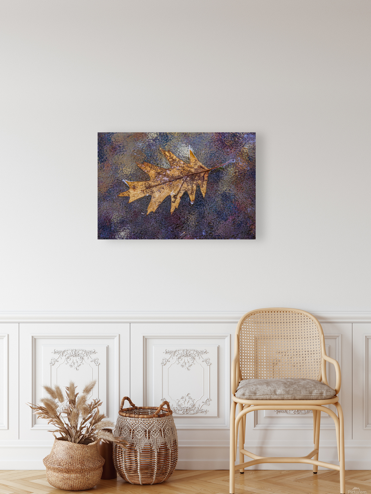 Oakleaf on ice Reproduction