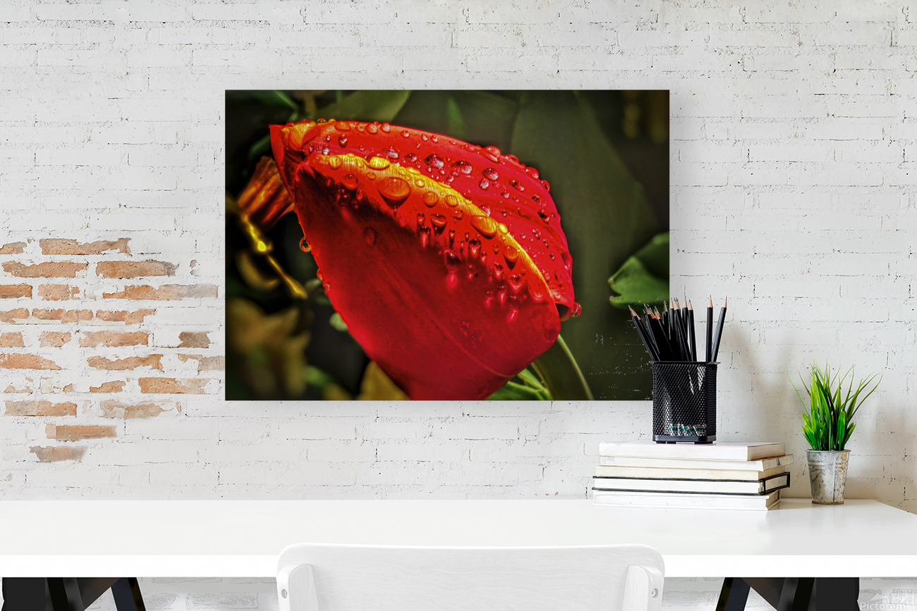 1382 Kuchenhof Reproduction