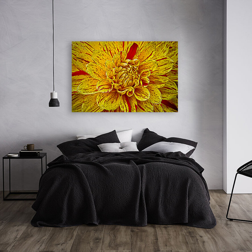 Multicolored Dahlia Reproduction