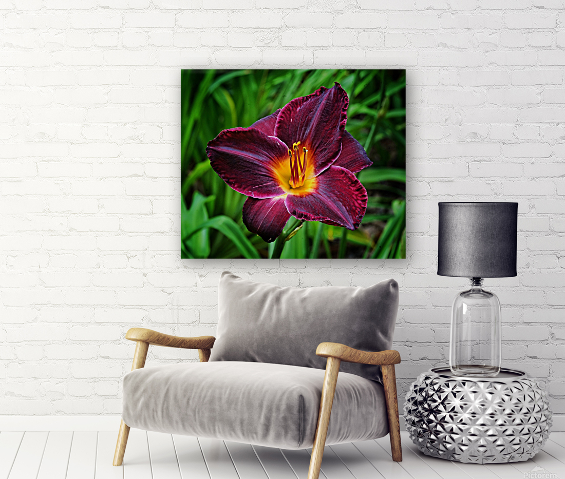 Purple Lily Reproduction